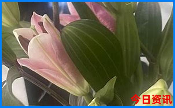 澳门今晚9点35分开什么号码