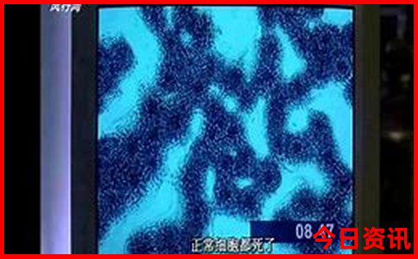 云南旅游几月份去最好
