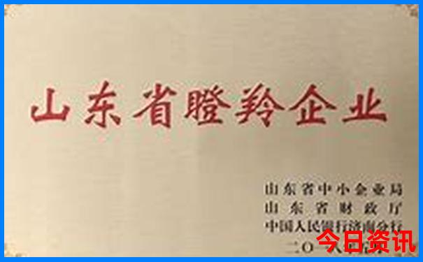 成都市区必去一日游