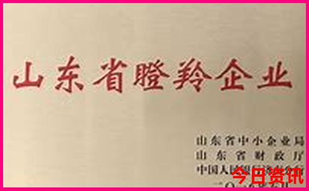 七八月最佳旅游地